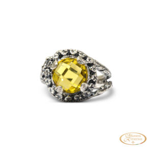 ancmj01 g 000 (14091)