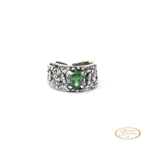 aned01 ve 000 (15455)