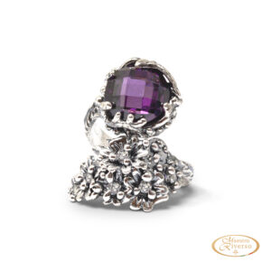 anprm04 v 000 (14063)